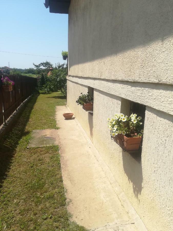Anejo Apartment بلغراد المظهر الخارجي الصورة